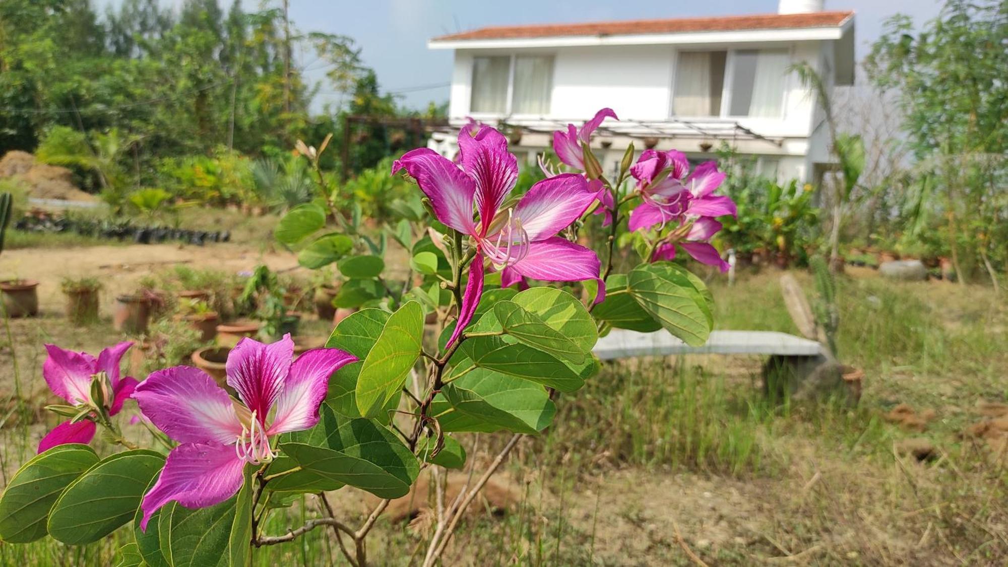 Vaksana Farm Stay Gudraippattu Buitenkant foto