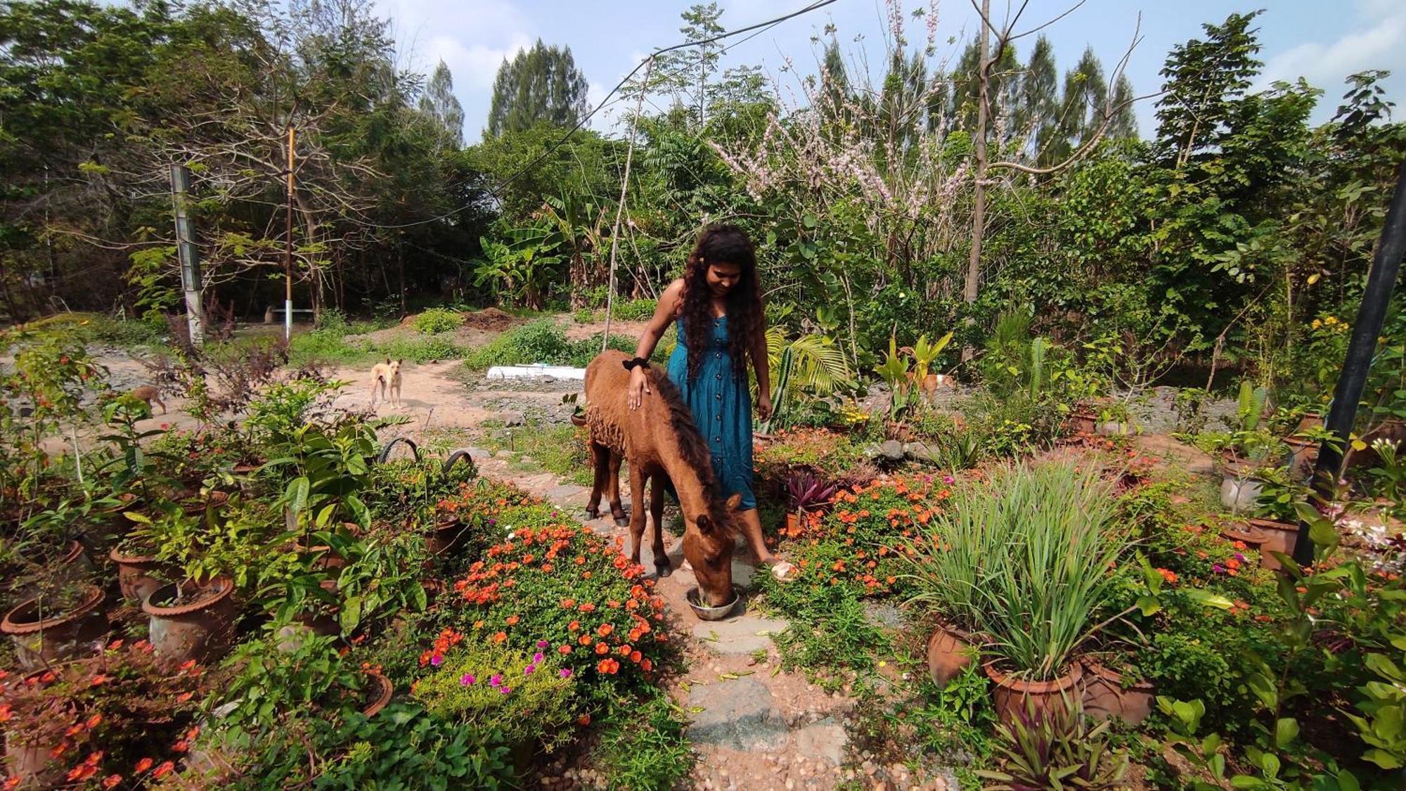 Vaksana Farm Stay Gudraippattu Buitenkant foto
