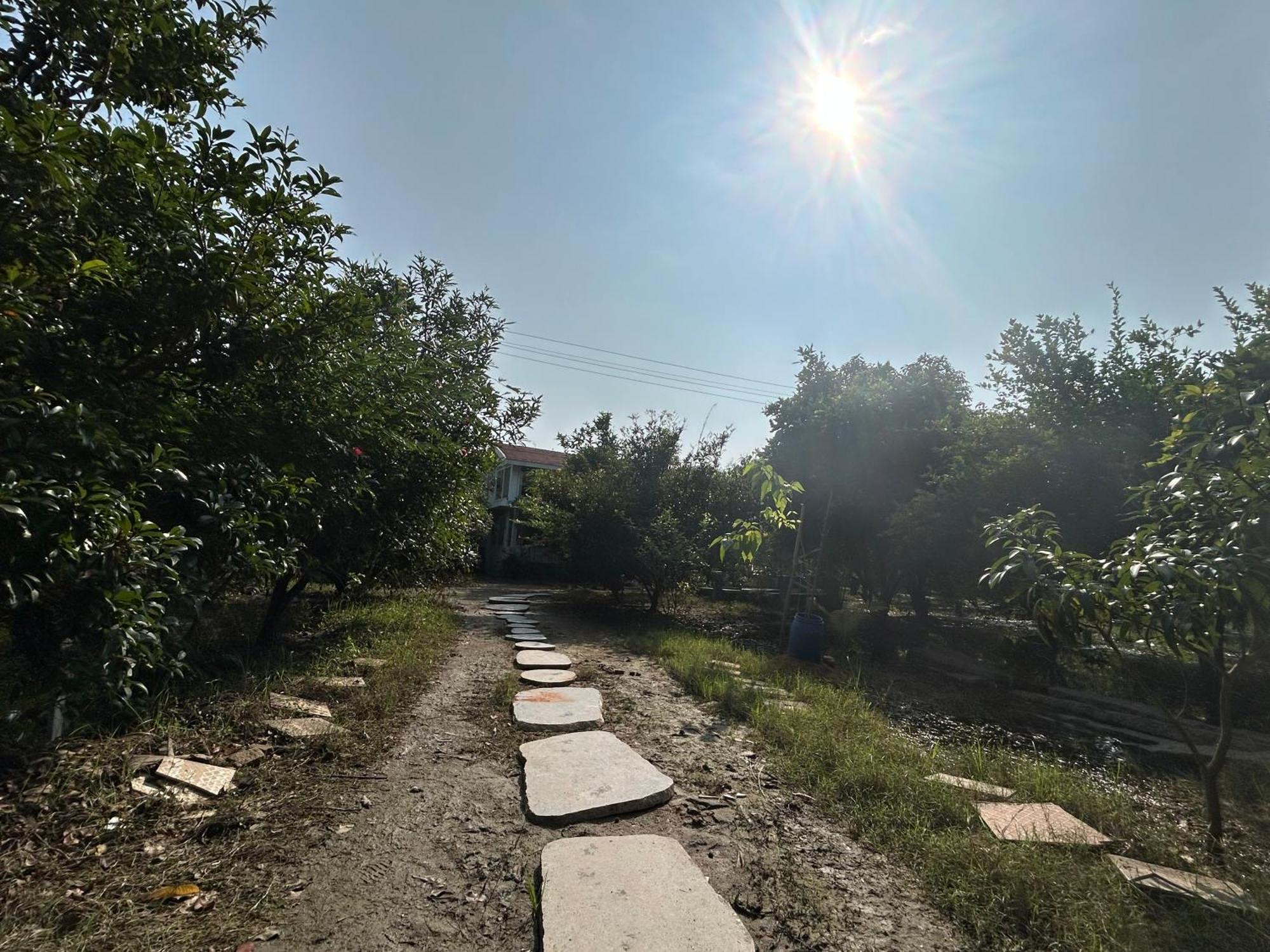 Vaksana Farm Stay Gudraippattu Buitenkant foto